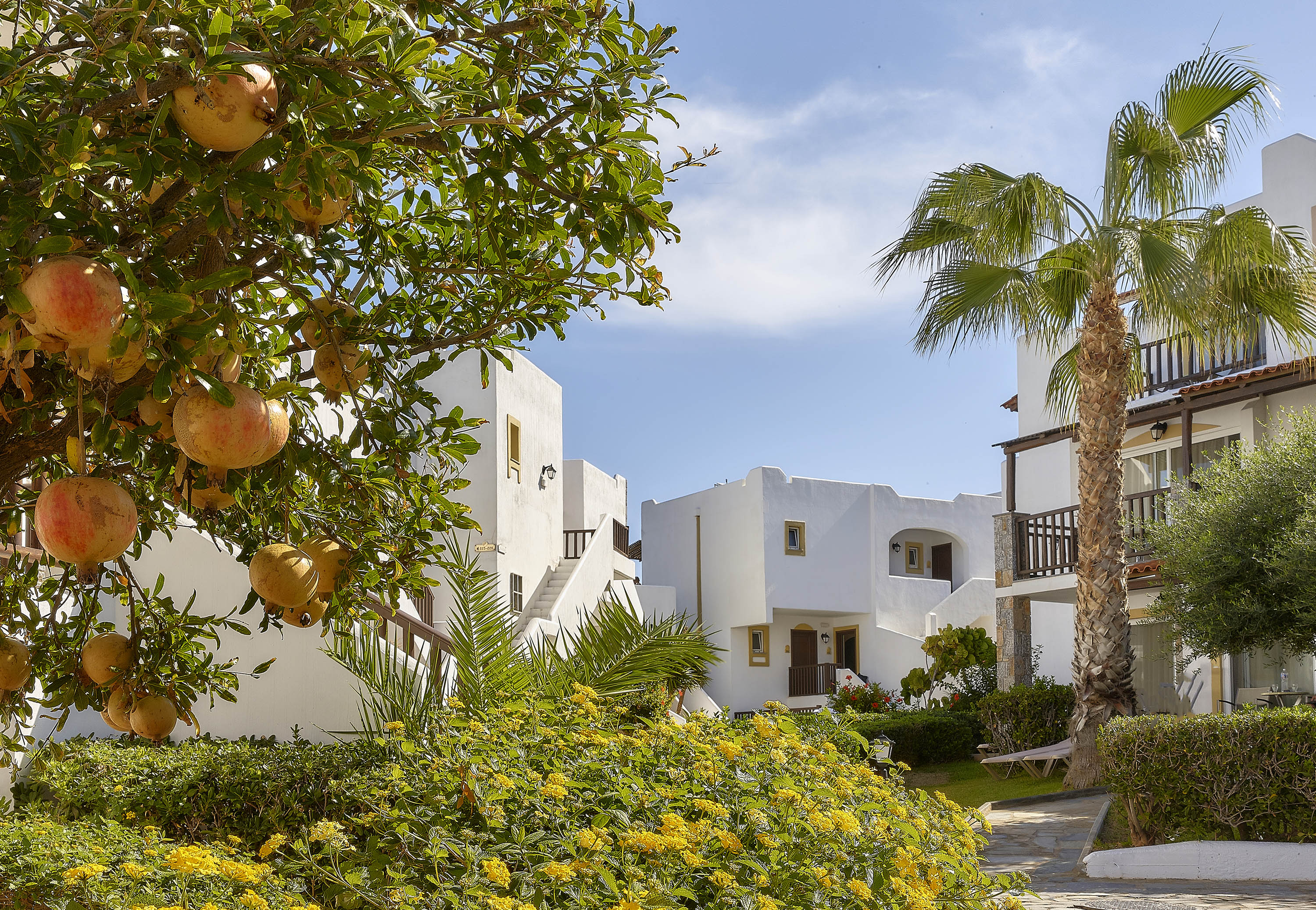 УСТОЙЧИВОЕ ГОСТЕПРИИМСТВО