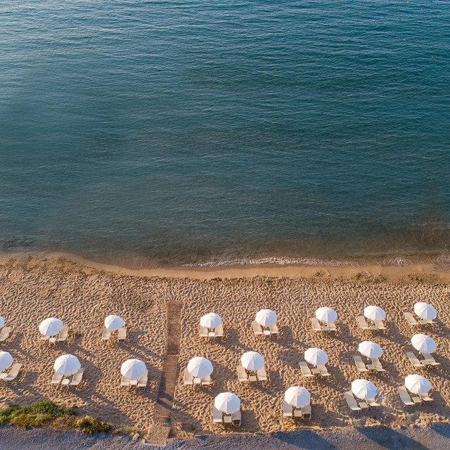 THE BEACHES