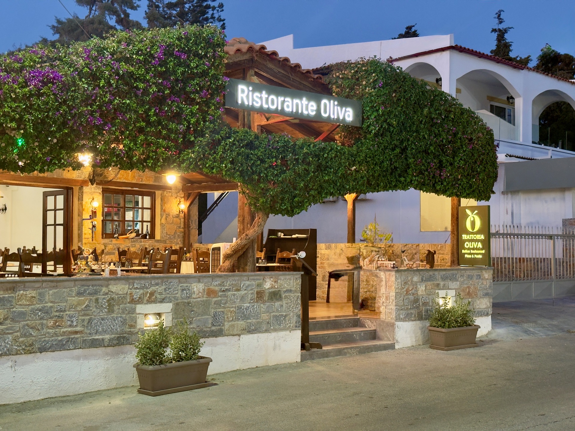 TRATTORIA OLIVA